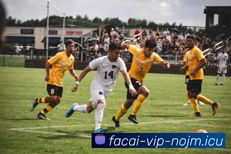 爱游戏体育品牌故事